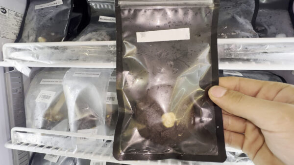 大麻食物-巧克力黄油夹心饼干