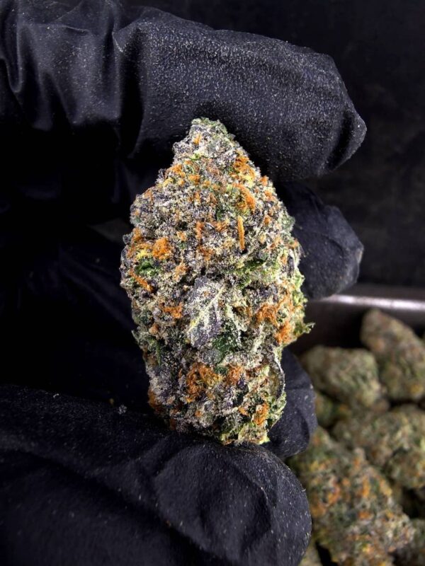 Blue Zkittlez - 1.18