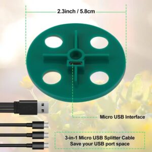 播種和克隆的盒子燈